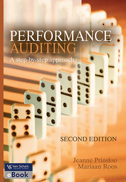 Performance auditing - a step-by-step approach 2/e