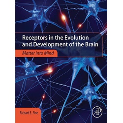 Receptors in the Evolution and Development of the Brain