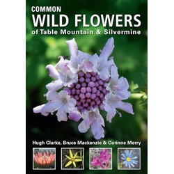Common Wild Flowers of Table Mountain & Silvermine
