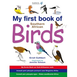 My First Book of Southern African Birds
