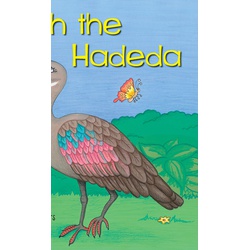 Hagedash the Hadeda