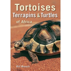 Tortoises, Terrapins & Turtles of Africa