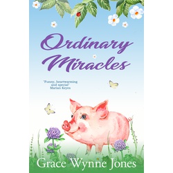 Ordinary Miracles