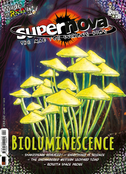 Supernova, the mag for curious kids: vol. 4.4