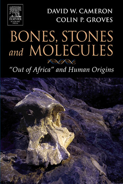 Bones, Stones and Molecules