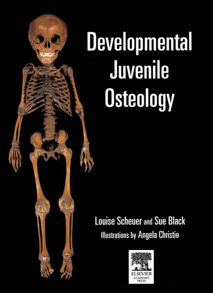 Developmental Juvenile Osteology