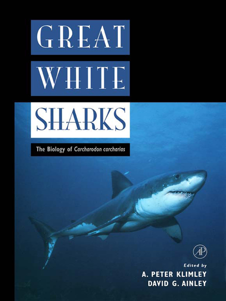 Great White Sharks