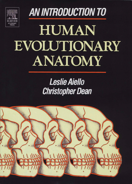 An Introduction to Human Evolutionary Anatomy