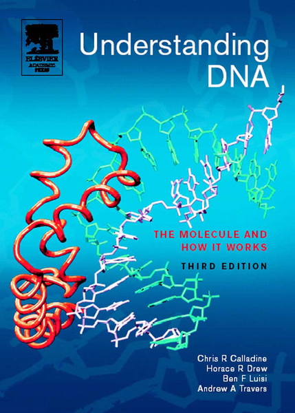 Understanding DNA