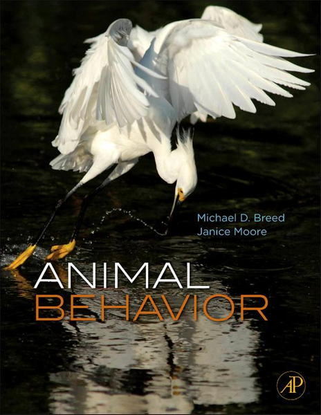 Animal Behavior