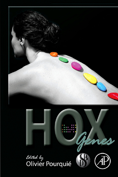 HOX Genes