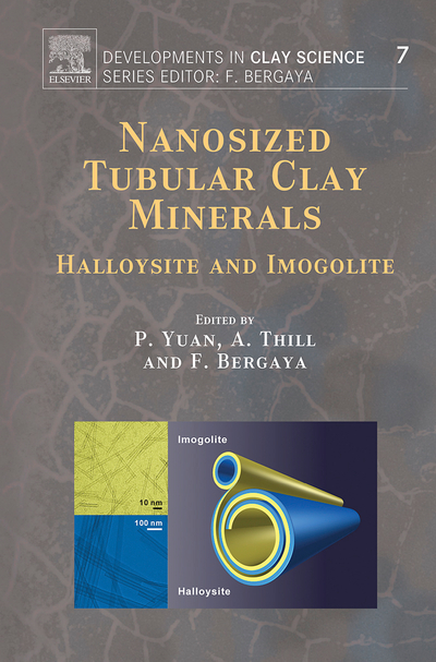 Nanosized Tubular Clay Minerals