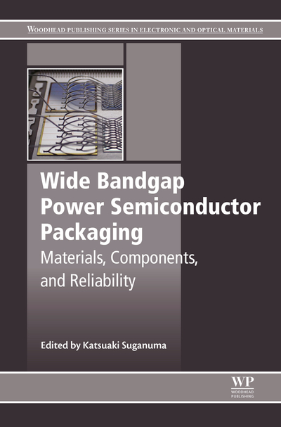 Wide Bandgap Power Semiconductor Packaging