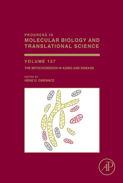 The Mitochondrion in Aging and Disease