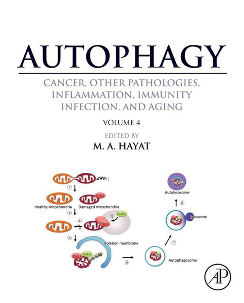 Autophagy: Cancer, Other Pathologies, Inflammation, Immunity, Infection, and Aging