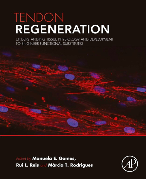 Tendon Regeneration