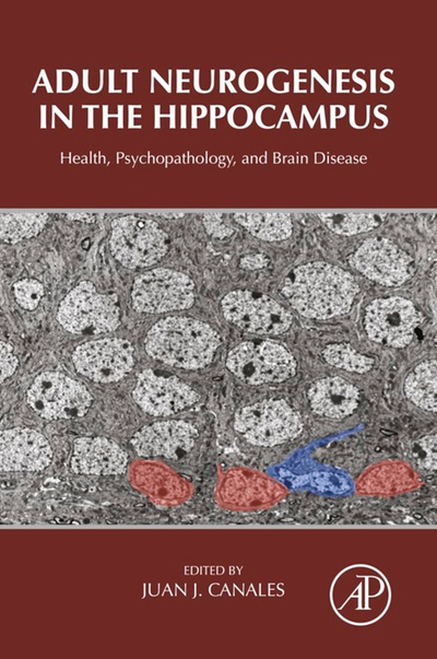 Adult Neurogenesis in the Hippocampus