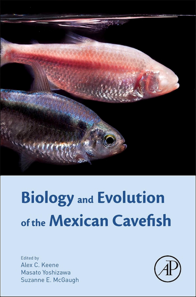 Biology and Evolution of the Mexican Cavefish