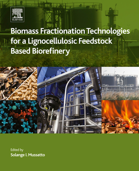 Biomass Fractionation Technologies for a Lignocellulosic Feedstock Based Biorefinery