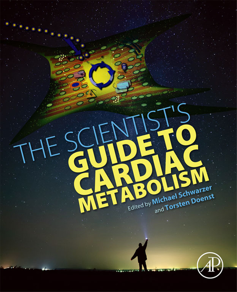 The Scientist's Guide to Cardiac Metabolism