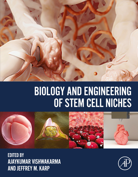 Biology and Engineering of Stem Cell Niches