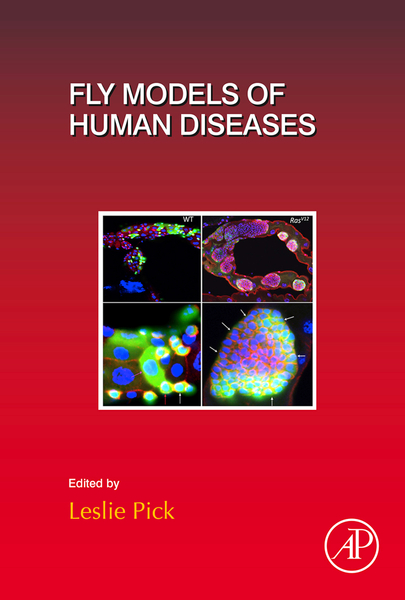 Fly Models of Human Diseases