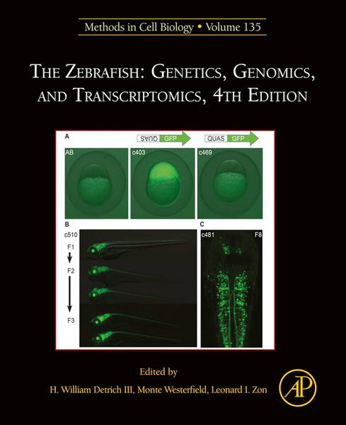 The Zebrafish: Genetics, Genomics, and Transcriptomics