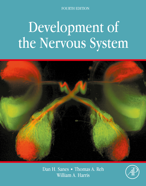 Development of the Nervous System