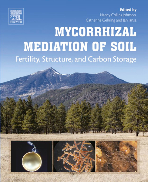 Mycorrhizal Mediation of Soil