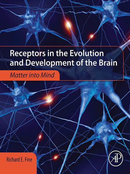 Receptors in the Evolution and Development of the Brain
