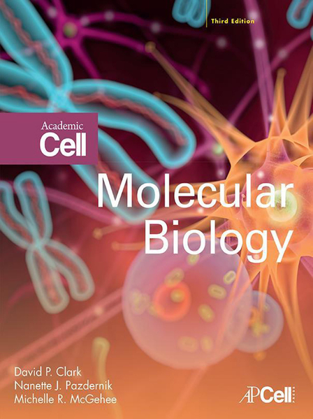 Molecular Biology