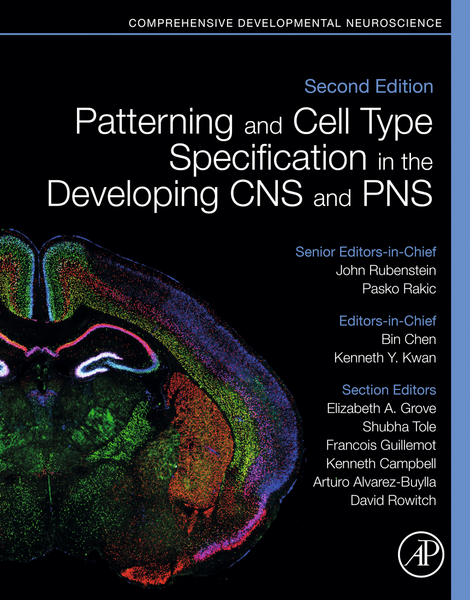 Patterning and Cell Type Specification in the Developing CNS and PNS