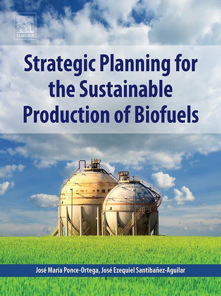 Strategic Planning for the Sustainable Production of Biofuels