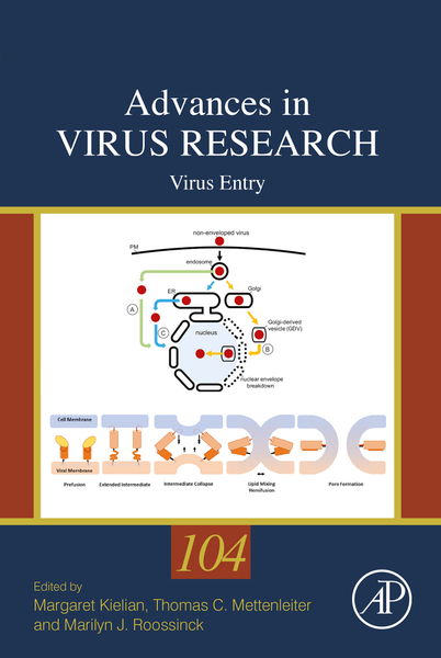 Virus Entry