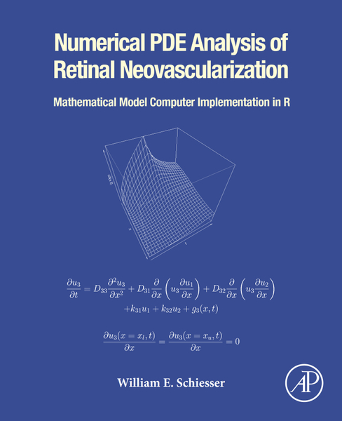 Numerical PDE Analysis of Retinal Neovascularization