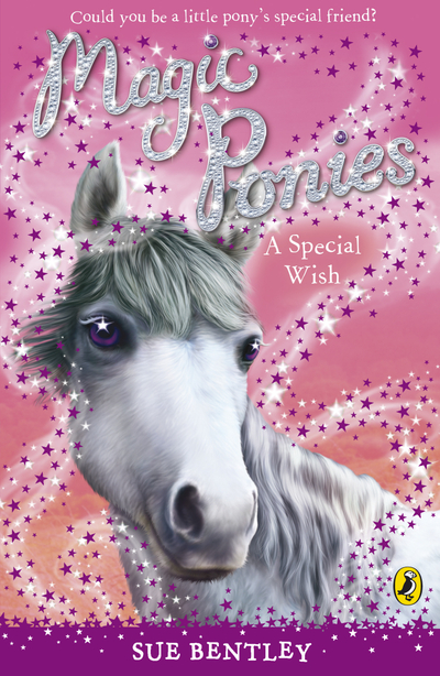 Magic Ponies: A Special Wish