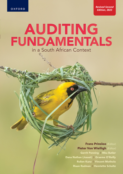 Auditing Fundamentals in a SA Context 2e