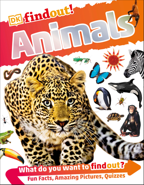 DKfindout! Animals