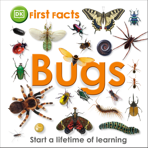 First Facts Bugs