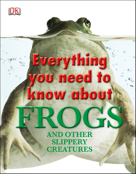 Everything You Need To Know About Frogs