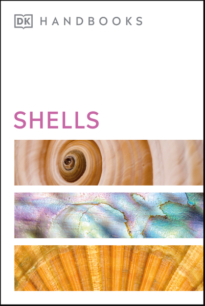 Shells