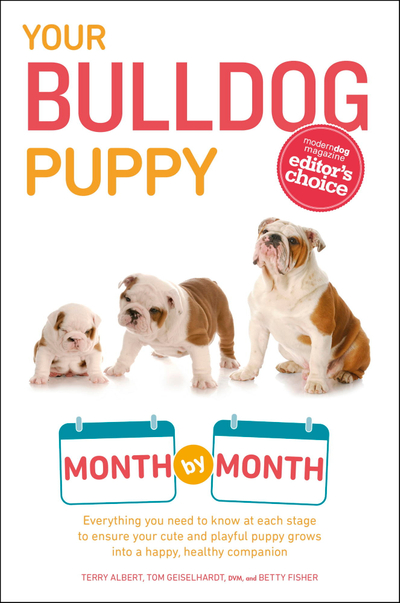 Your Bulldog Puppy Month by Month