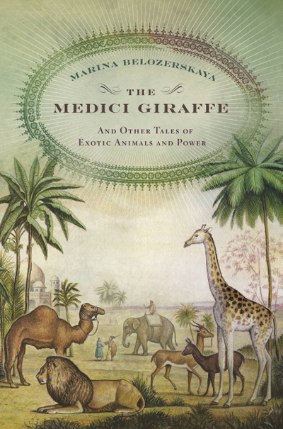 The Medici Giraffe