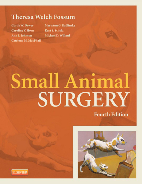 Small Animal Surgery Textbook - E-Book