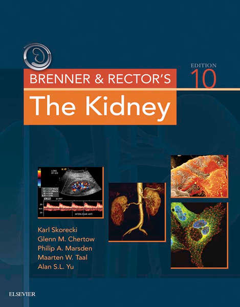 Brenner and Rector's The Kidney E-Book