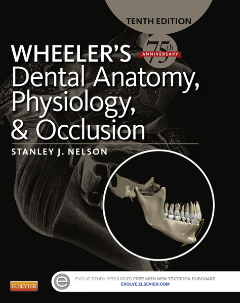 Wheeler's Dental Anatomy, Physiology and Occlusion - E-Book