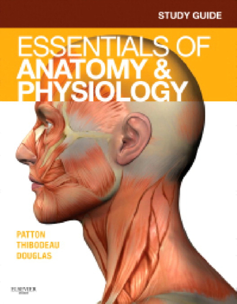 Study Guide for Essentials of Anatomy & Physiology