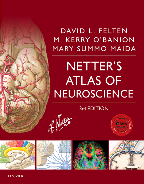 Netter's Atlas of Neuroscience