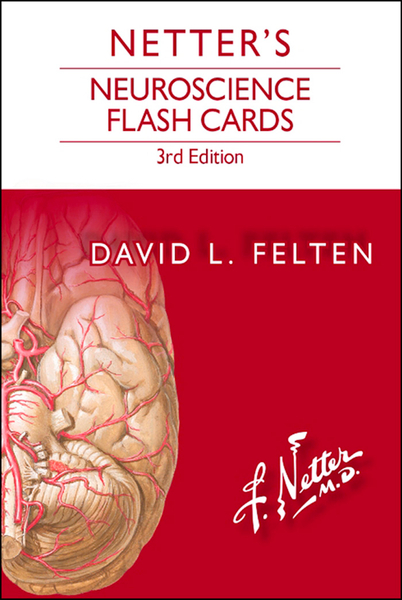 Netter's Neuroscience Flash Cards E-Book