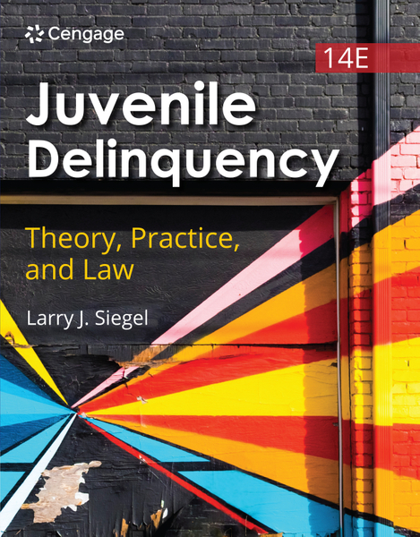 3P-EBK: JUVENILE DELINQUENCY THEORY/PRACTICE/LAW